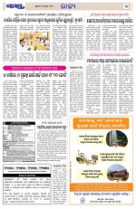 Page 3 Thumbnail