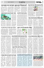 Page 6 Thumbnail
