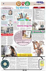 Page 2 Thumbnail