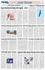 Page 11 Thumbnail