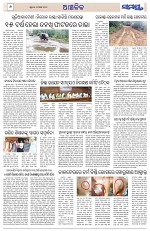 Page 6 Thumbnail