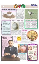 Page 2 Thumbnail
