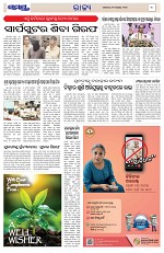 Page 3 Thumbnail