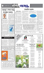 Page 8 Thumbnail