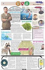 Page 2 Thumbnail