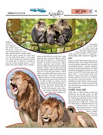 Page 3 Thumbnail