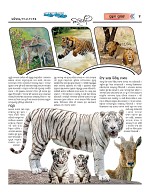 Page 4 Thumbnail
