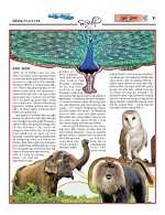 Page 5 Thumbnail
