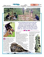 Page 11 Thumbnail