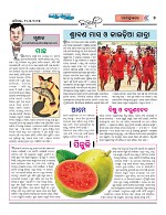 Page 7 Thumbnail