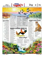 Page 9 Thumbnail