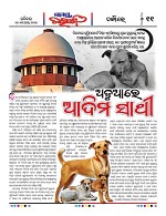 Page 10 Thumbnail