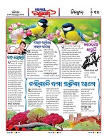 Page 9 Thumbnail