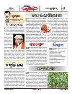 Page 7 Thumbnail