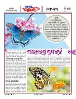 Page 10 Thumbnail