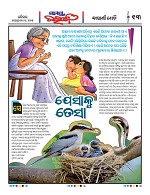 Page 12 Thumbnail