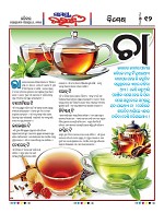 Page 11 Thumbnail