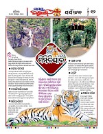 Page 11 Thumbnail