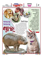 Page 6 Thumbnail