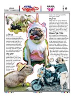 Page 7 Thumbnail
