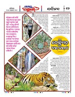 Page 11 Thumbnail