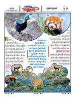 Page 2 Thumbnail