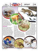 Page 3 Thumbnail