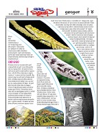 Page 4 Thumbnail