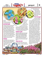 Page 5 Thumbnail