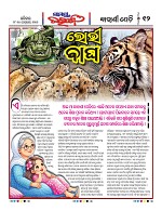 Page 11 Thumbnail