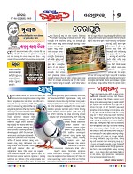 Page 7 Thumbnail