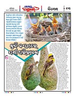 Page 12 Thumbnail