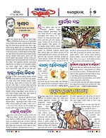 Page 7 Thumbnail