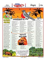 Page 9 Thumbnail