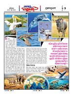 Page 2 Thumbnail