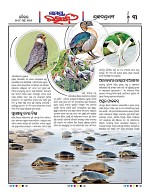 Page 3 Thumbnail