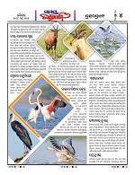 Page 4 Thumbnail