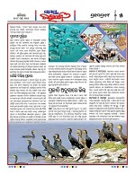 Page 5 Thumbnail