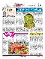 Page 7 Thumbnail