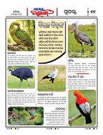 Page 10 Thumbnail