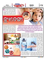 Page 13 Thumbnail