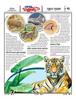 Page 3 Thumbnail