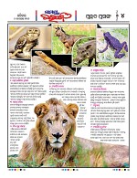 Page 4 Thumbnail
