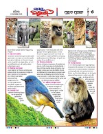 Page 5 Thumbnail