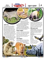 Page 6 Thumbnail