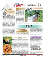 Page 7 Thumbnail